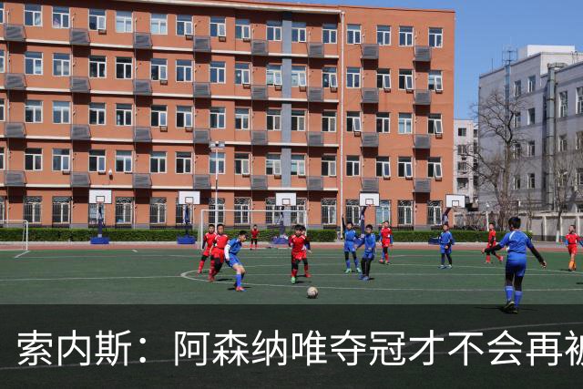 索内斯：阿森纳唯夺冠才不会再被当陪衬